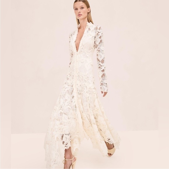 Alexis Dresses & Skirts - Alexis NWOT Camilla Dress